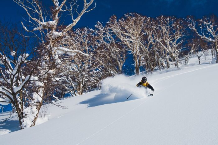 Skidåkning i Japan – Puder på Hokkaido